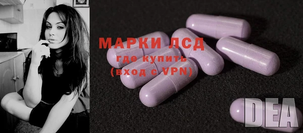 шишки Приозерск