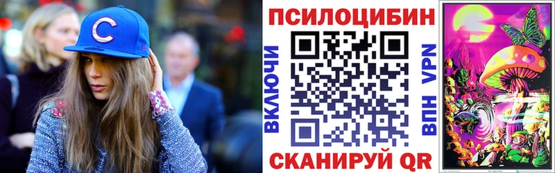 как найти   Балашов  Галлюциногенные грибы GOLDEN TEACHER 